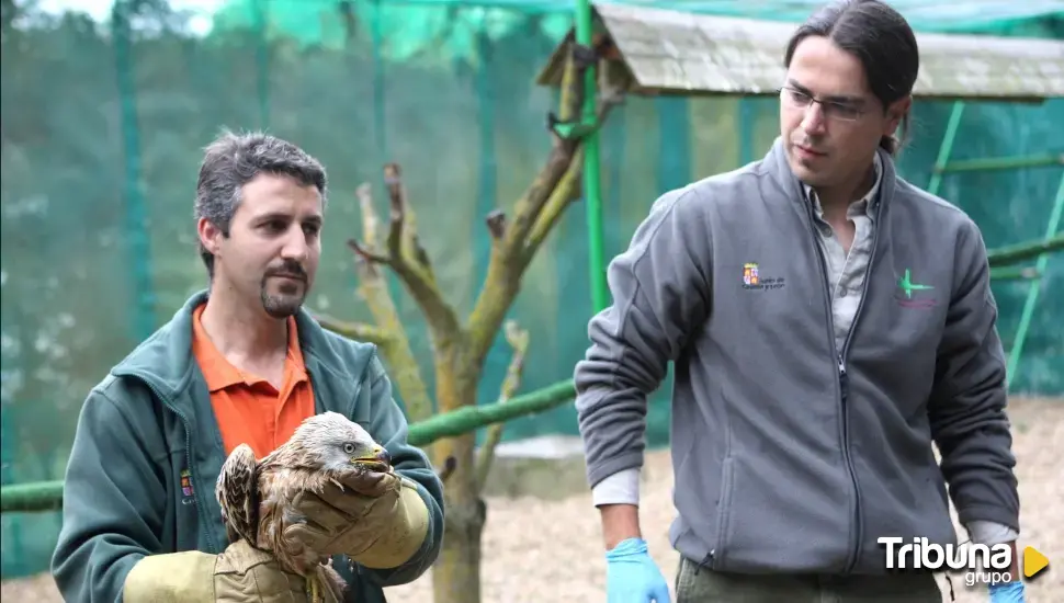 El Centro de Recepción de Fauna en Villaralbo será reformado y ampliado con más de 100.000 euros