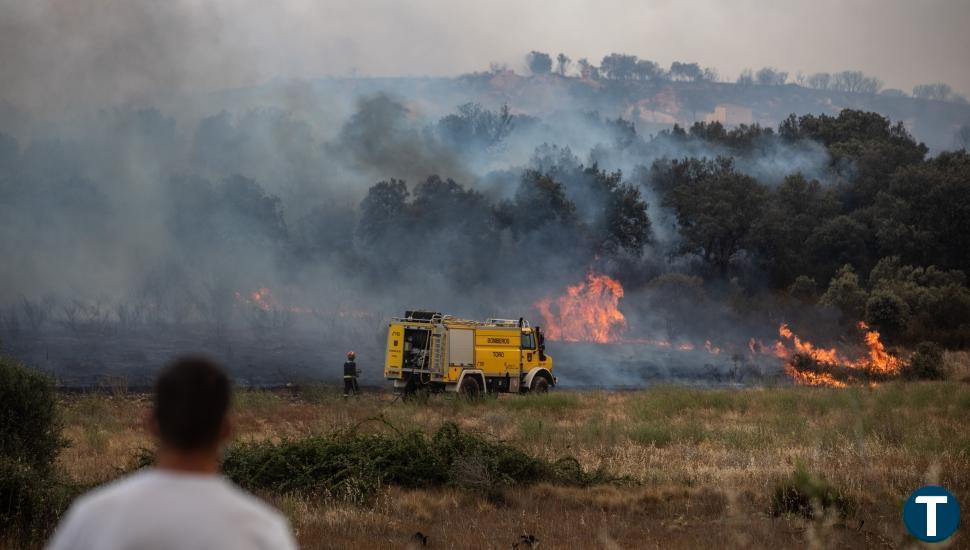 Medio millar de agricultores zamoranos recibirán 680.000 euros de ayudas por los incendios