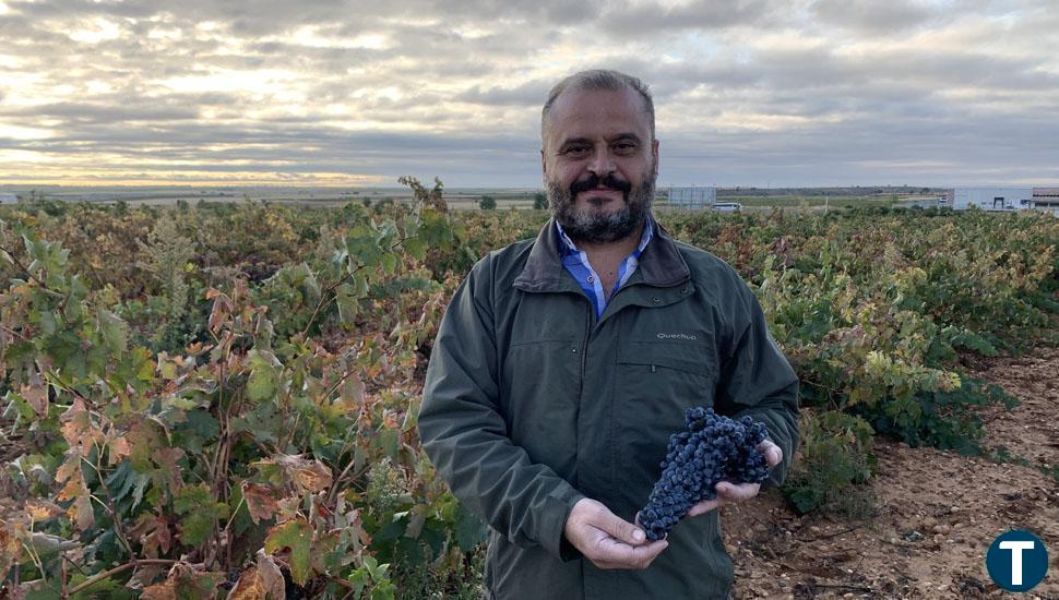 La Denominación de Origen Toro cumple 35 años con el reto de la internacionalización de sus vinos 