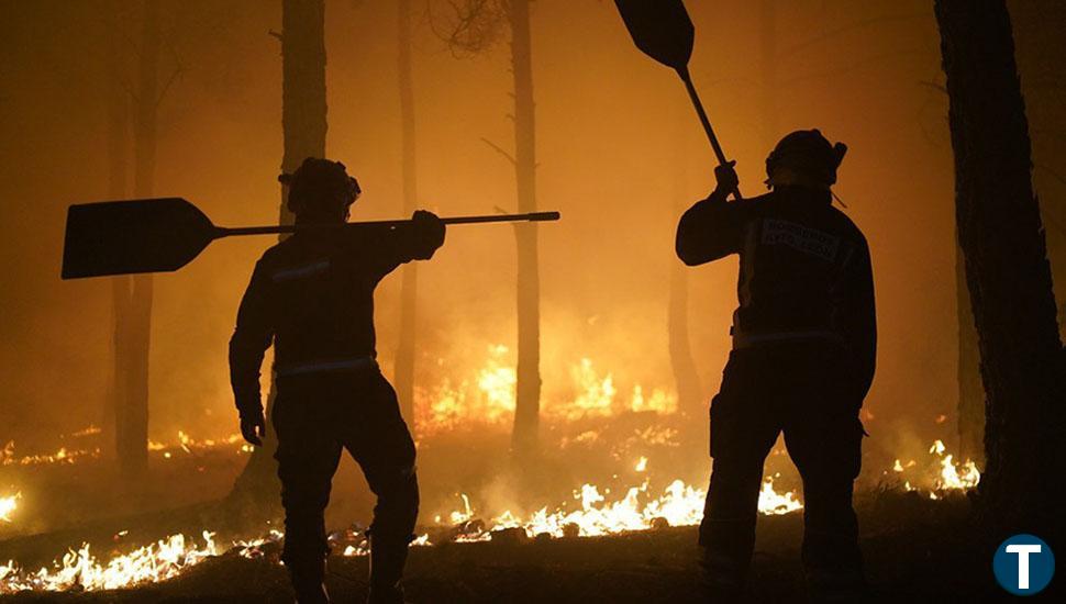 La Junta ordena la corta urgente de todos los árboles afectados en el incendio de la Sierra de la Culebra