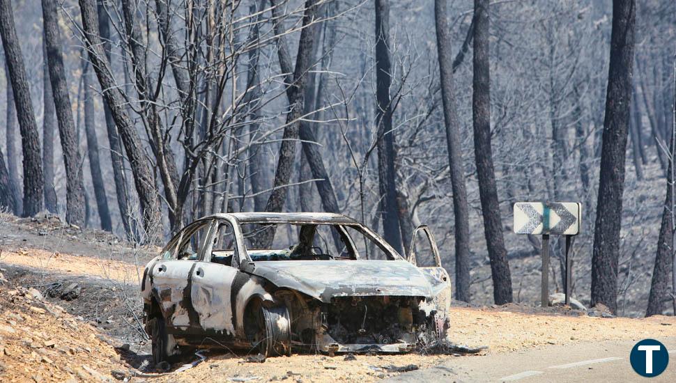 Sufre quemaduras de gravedad un hombre durante los trabajos de extinción del incendio forestal de Losacio