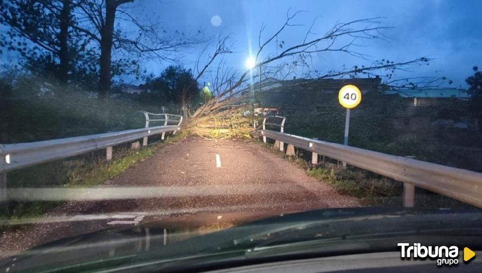 Una carretera cortada, un frontón caído y alerta por rachas de viento de 100 kilómetros en Zamora