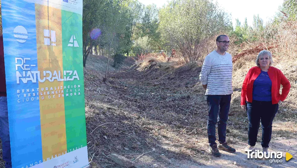 Arranca la recuperación del arroyo de Valorio: Limpieza del cauce y plantación de 86 árboles y 68 arbustos