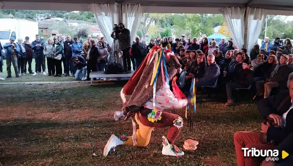 Los personajes de 16 mascaradas protagonizan el I Encuentro y Exaltación de esta celebración en Zamora