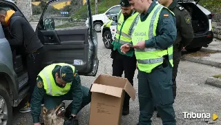 'Livex-Lobo', el simulacro internacional del Seprona en colaboración con Portugal en este pueblo de Zamora