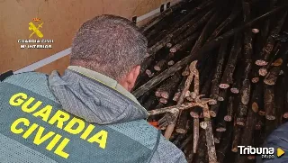 Desmantelado un grupo criminal que se dedicaba a sustraer cableado de cobre telefónico en Zamora y limítrofes