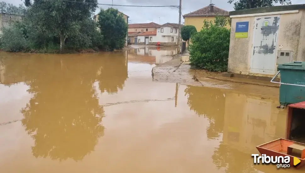 Desbordado un arroyo e inundadas viviendas y naves ganaderas por la lluvia en Cerecinos de Campos