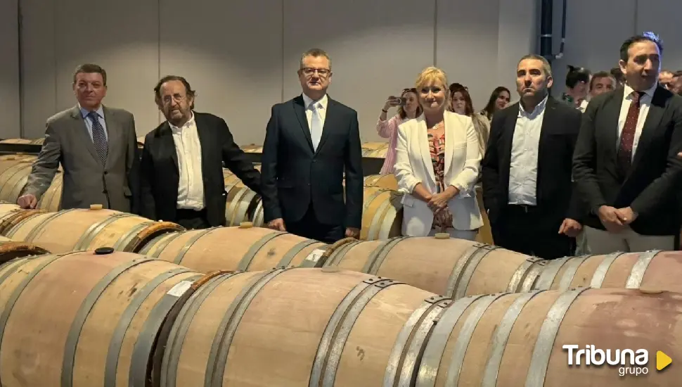 La Junta destaca la vitivinicultura en la economía regional: 1.000 millones de euros y 33.000 empleos