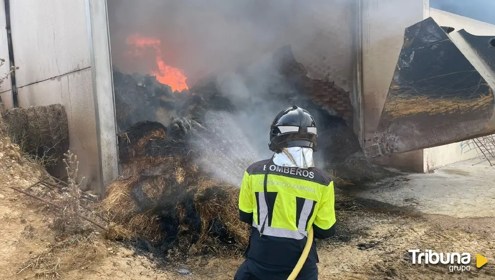 Desalojadas 900 ovejas por un fuego en una nave en Argujillo con miles de kilos de cereal y paja