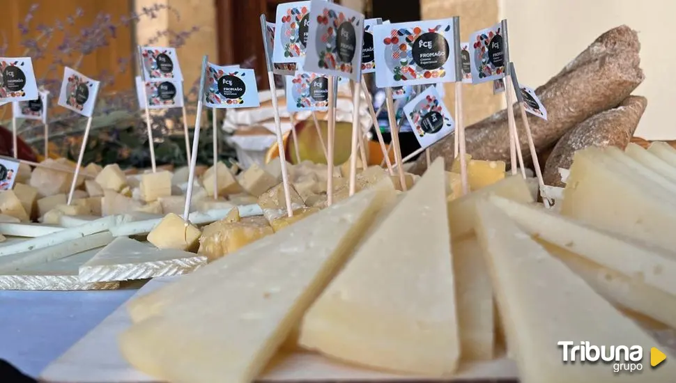 Más de 1.200 tipos de queso en la Fromago Cheese Experience de Zamora