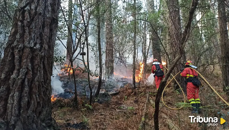 La Junta confirma que el incendio de Trabazos fue provocado: "Podemos hablar de terrorismo medioambiental"