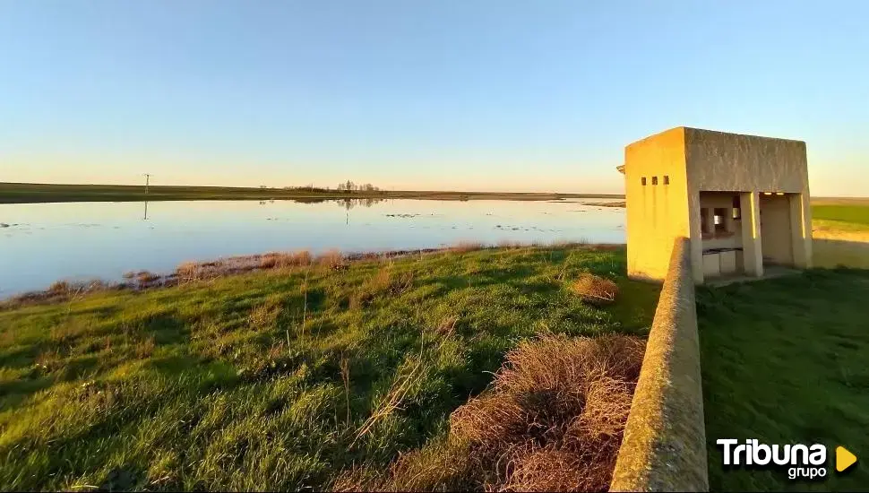 La CHD dice cumplir la ley al permitir extraer agua de las Lagunas de Villafáfila para el hidrógeno verde