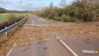 Árboles caídos y balsas de agua: Los estragos del temporal en estas carreteras de Zamora