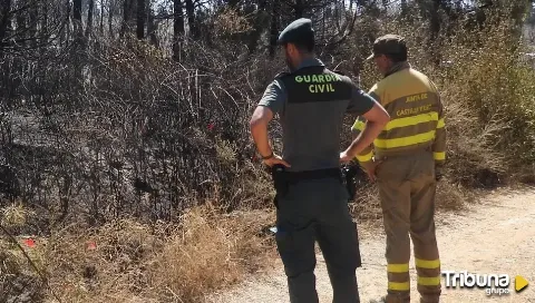 Investigada una persona por el fuego del verano pasado en Trabazos, provocado por "motivaciones cinegéticas"