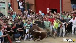 Benavente reclama la declaración del Toro Enmaromado como Fiesta de Interés Turístico Nacional