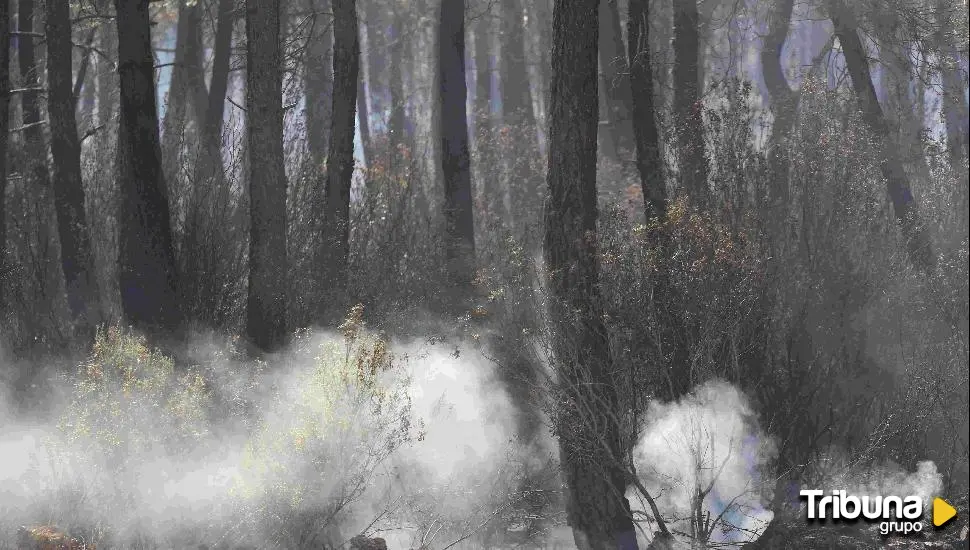 El "progresivo desmantelamiento" de la red de vigilancia de incendios en Zamora: De 20 torres pasarán a 12 