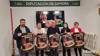 San Vitero acogerá la exposición y subasta de asnos de raza zamorano-leonesa con medio centenar de ejemplares